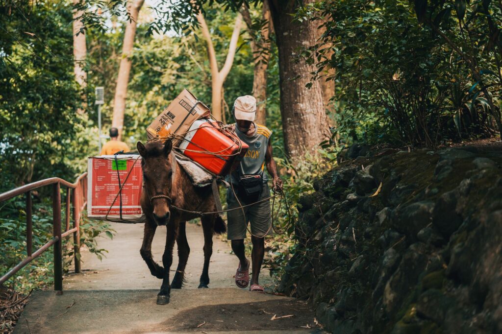 Kurye ile ilgili Kocasinan Merkez Aynı Gün Şehir İçi Kurye görseli